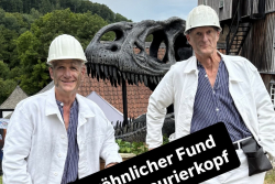 Ungewöhnlicher Fund neben Dinosaurierkopf im Sauerland